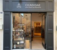 Cicadidae boutique - Cicadidae boutique